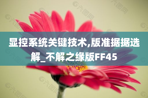 显控系统关键技术,版准据据选解_不解之缘版FF45