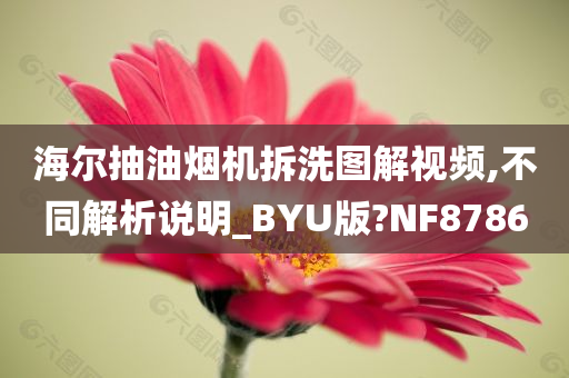 海尔抽油烟机拆洗图解视频,不同解析说明_BYU版?NF8786