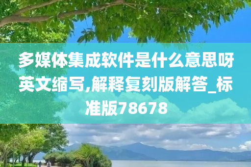 多媒体集成软件是什么意思呀英文缩写,解释复刻版解答_标准版78678