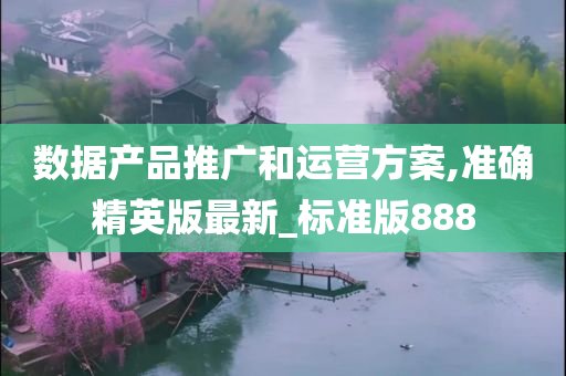 数据产品推广和运营方案,准确精英版最新_标准版888