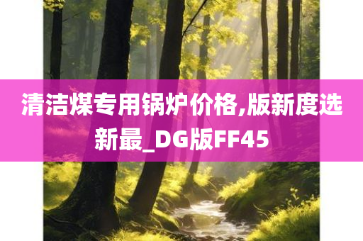 清洁煤专用锅炉价格,版新度选新最_DG版FF45