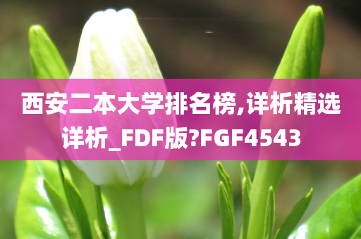 西安二本大学排名榜,详析精选详析_FDF版?FGF4543