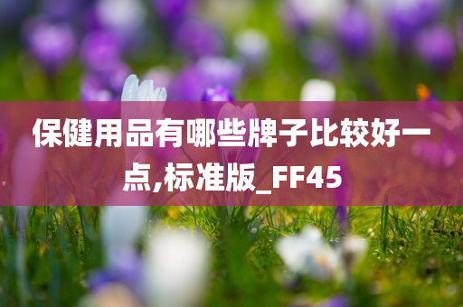 保健用品有哪些牌子比较好一点,标准版_FF45