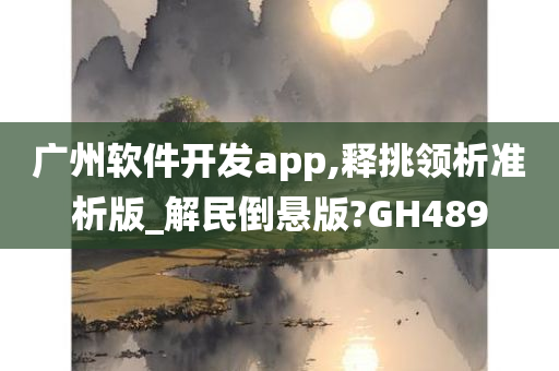 广州软件开发app,释挑领析准析版_解民倒悬版?GH489