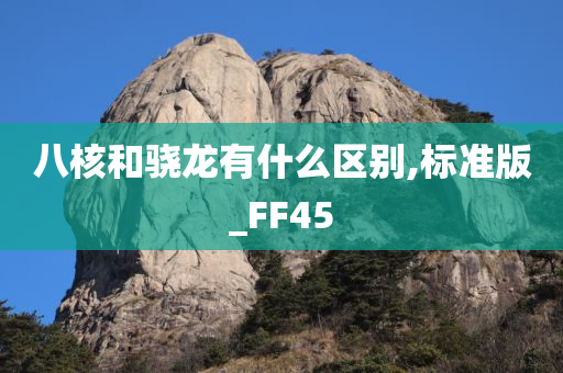 八核和骁龙有什么区别,标准版_FF45