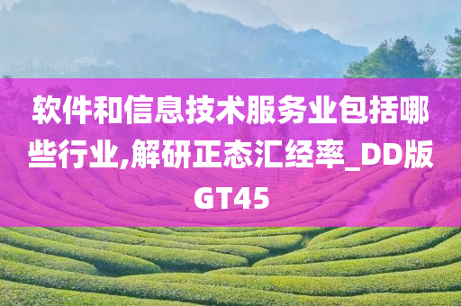 软件和信息技术服务业包括哪些行业,解研正态汇经率_DD版GT45