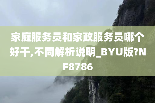 家庭服务员和家政服务员哪个好干,不同解析说明_BYU版?NF8786