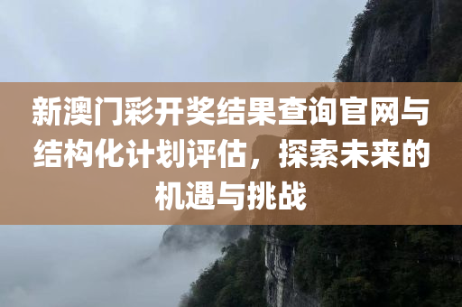 新澳门彩开奖结果查询官网与结构化计划评估，探索未来的机遇与挑战