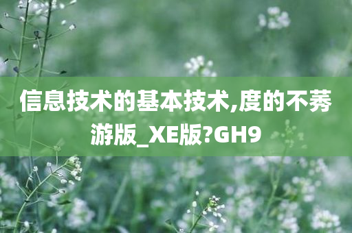 信息技术的基本技术,度的不莠游版_XE版?GH9