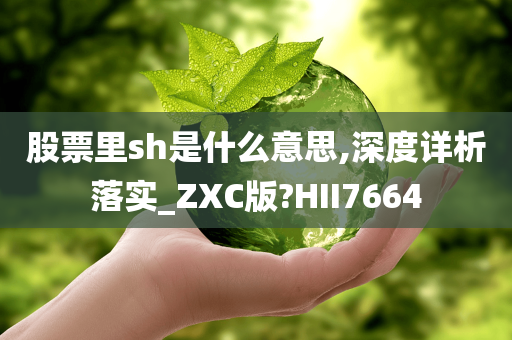 股票里sh是什么意思,深度详析落实_ZXC版?HII7664