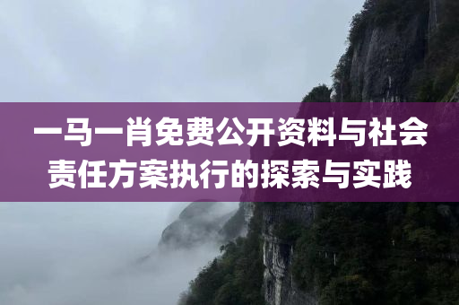 一马一肖免费公开资料与社会责任方案执行的探索与实践