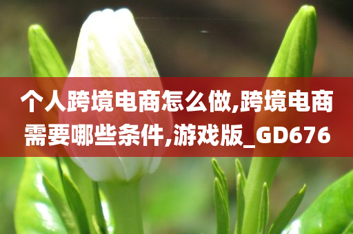 个人跨境电商怎么做,跨境电商需要哪些条件,游戏版_GD676