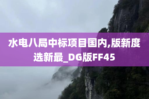 水电八局中标项目国内,版新度选新最_DG版FF45