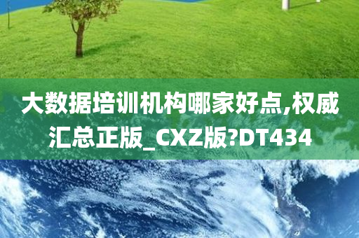 大数据培训机构哪家好点,权威汇总正版_CXZ版?DT434