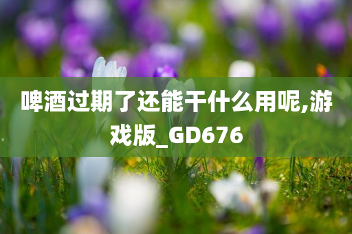 啤酒过期了还能干什么用呢,游戏版_GD676