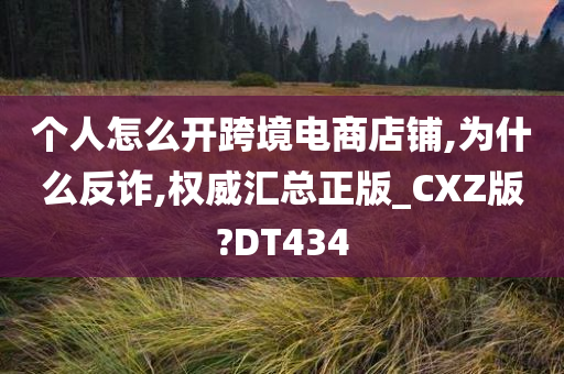 个人怎么开跨境电商店铺,为什么反诈,权威汇总正版_CXZ版?DT434