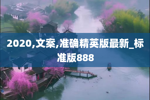 2020,文案,准确精英版最新_标准版888