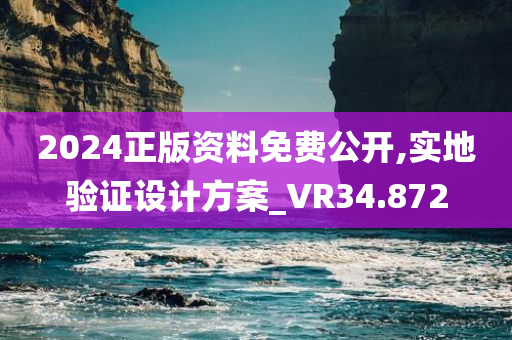 2024正版资料免费公开,实地验证设计方案_VR34.872