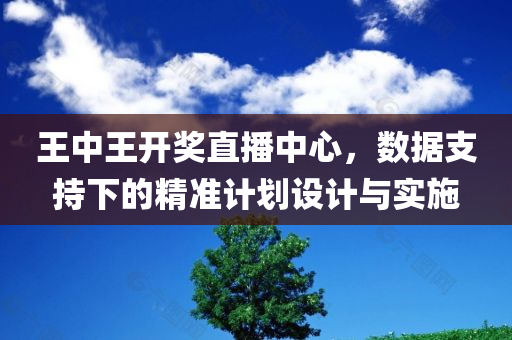 王中王开奖直播中心，数据支持下的精准计划设计与实施