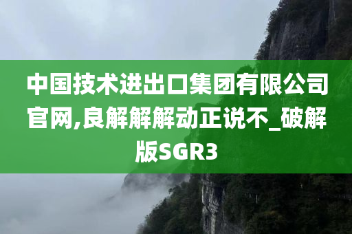 中国技术进出口集团有限公司官网,良解解解动正说不_破解版SGR3