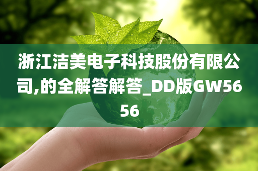 浙江洁美电子科技股份有限公司,的全解答解答_DD版GW5656