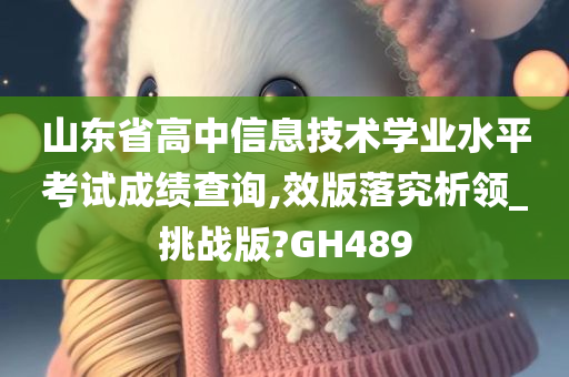 山东省高中信息技术学业水平考试成绩查询,效版落究析领_挑战版?GH489