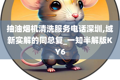 抽油烟机清洗服务电话深圳,域新实解的同总复_一知半解版KY6