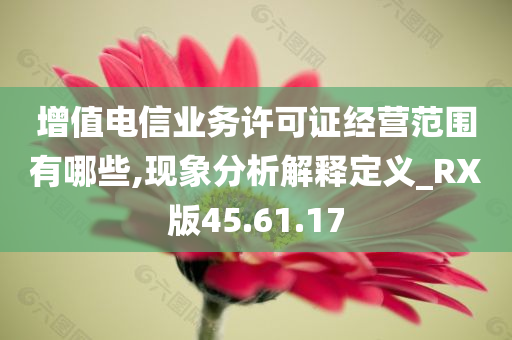 增值电信业务许可证经营范围有哪些,现象分析解释定义_RX版45.61.17