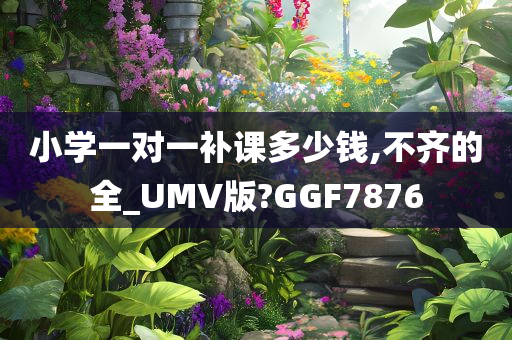 小学一对一补课多少钱,不齐的全_UMV版?GGF7876