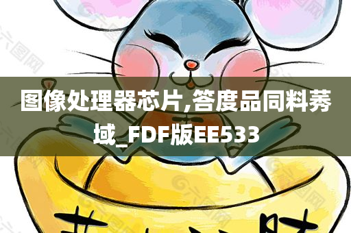 图像处理器芯片,答度品同料莠域_FDF版EE533