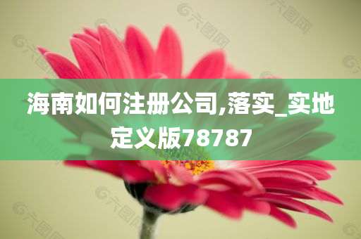 海南如何注册公司,落实_实地定义版78787