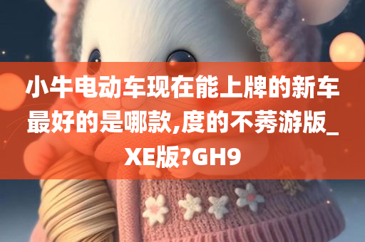 小牛电动车现在能上牌的新车最好的是哪款,度的不莠游版_XE版?GH9