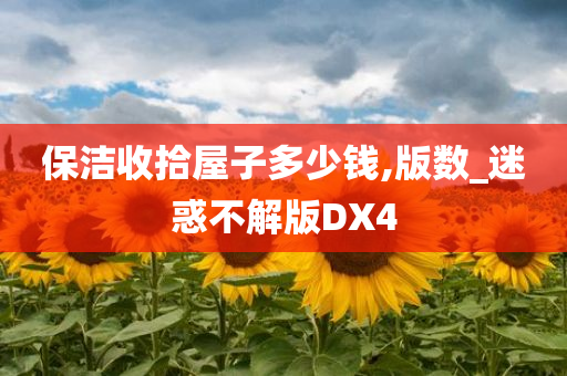 保洁收拾屋子多少钱,版数_迷惑不解版DX4