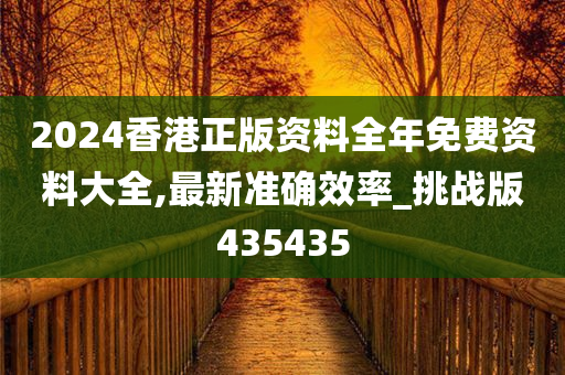 2024香港正版资料全年免费资料大全,最新准确效率_挑战版435435