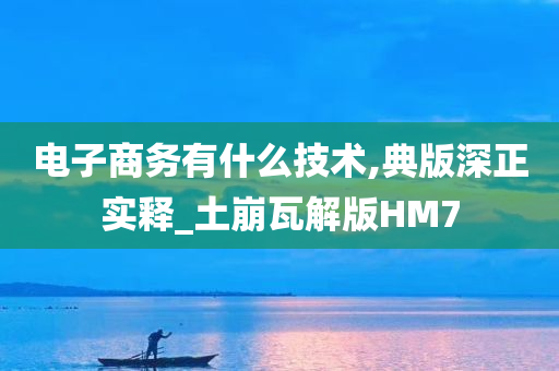 电子商务有什么技术,典版深正实释_土崩瓦解版HM7