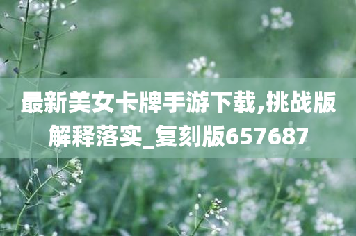 最新美女卡牌手游下载,挑战版解释落实_复刻版657687