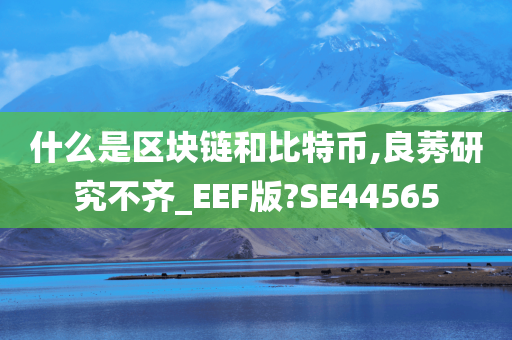 什么是区块链和比特币,良莠研究不齐_EEF版?SE44565