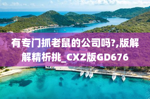 有专门抓老鼠的公司吗?,版解解精析挑_CXZ版GD676