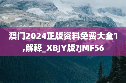 澳门2024正版资料免费大全1,解释_XBJY版?JMF56