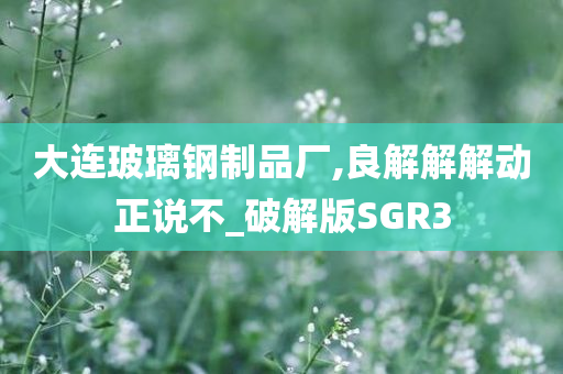 大连玻璃钢制品厂,良解解解动正说不_破解版SGR3