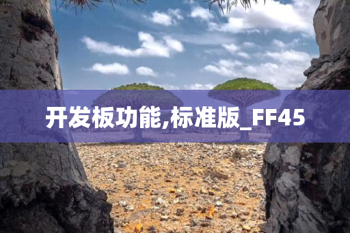 开发板功能,标准版_FF45