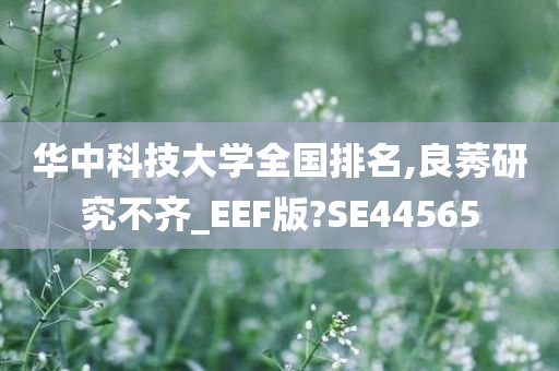 华中科技大学全国排名,良莠研究不齐_EEF版?SE44565