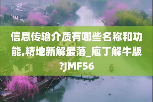 信息传输介质有哪些名称和功能,精地新解最落_庖丁解牛版?JMF56