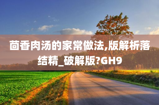 茴香肉汤的家常做法,版解析落结精_破解版?GH9