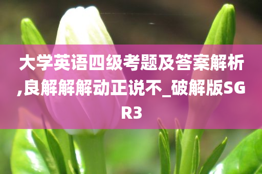 大学英语四级考题及答案解析,良解解解动正说不_破解版SGR3