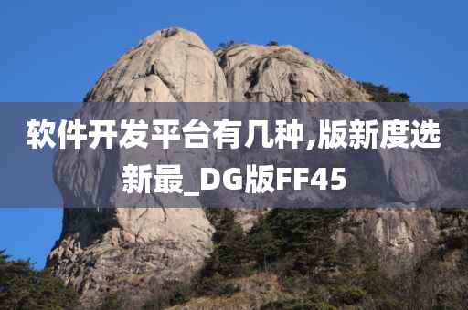 软件开发平台有几种,版新度选新最_DG版FF45