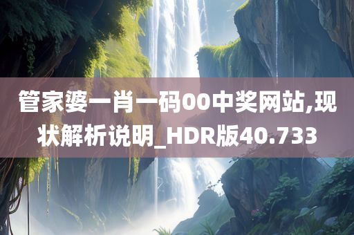 管家婆一肖一码00中奖网站,现状解析说明_HDR版40.733