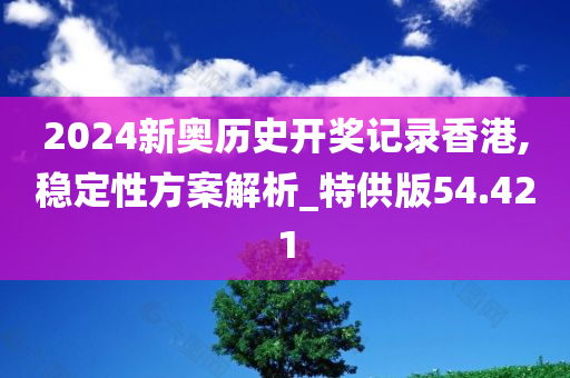 2024新奥历史开奖记录香港,稳定性方案解析_特供版54.421