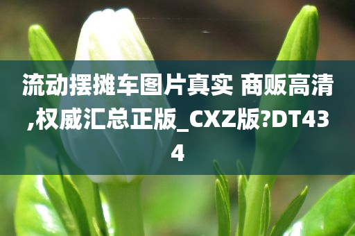 流动摆摊车图片真实 商贩高清,权威汇总正版_CXZ版?DT434