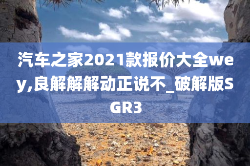 汽车之家2021款报价大全wey,良解解解动正说不_破解版SGR3